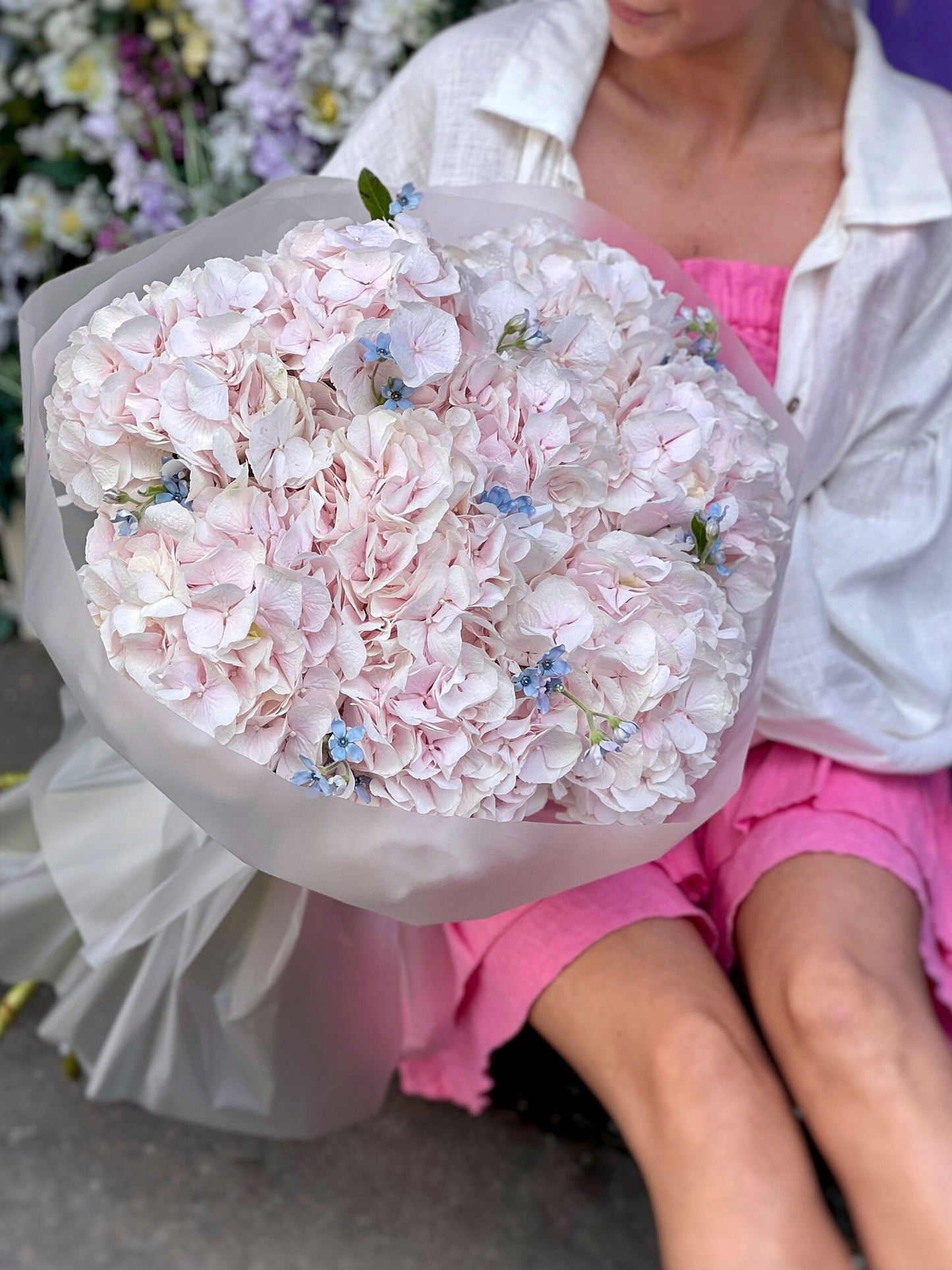 Light pink Hydrangeas & Tweedia