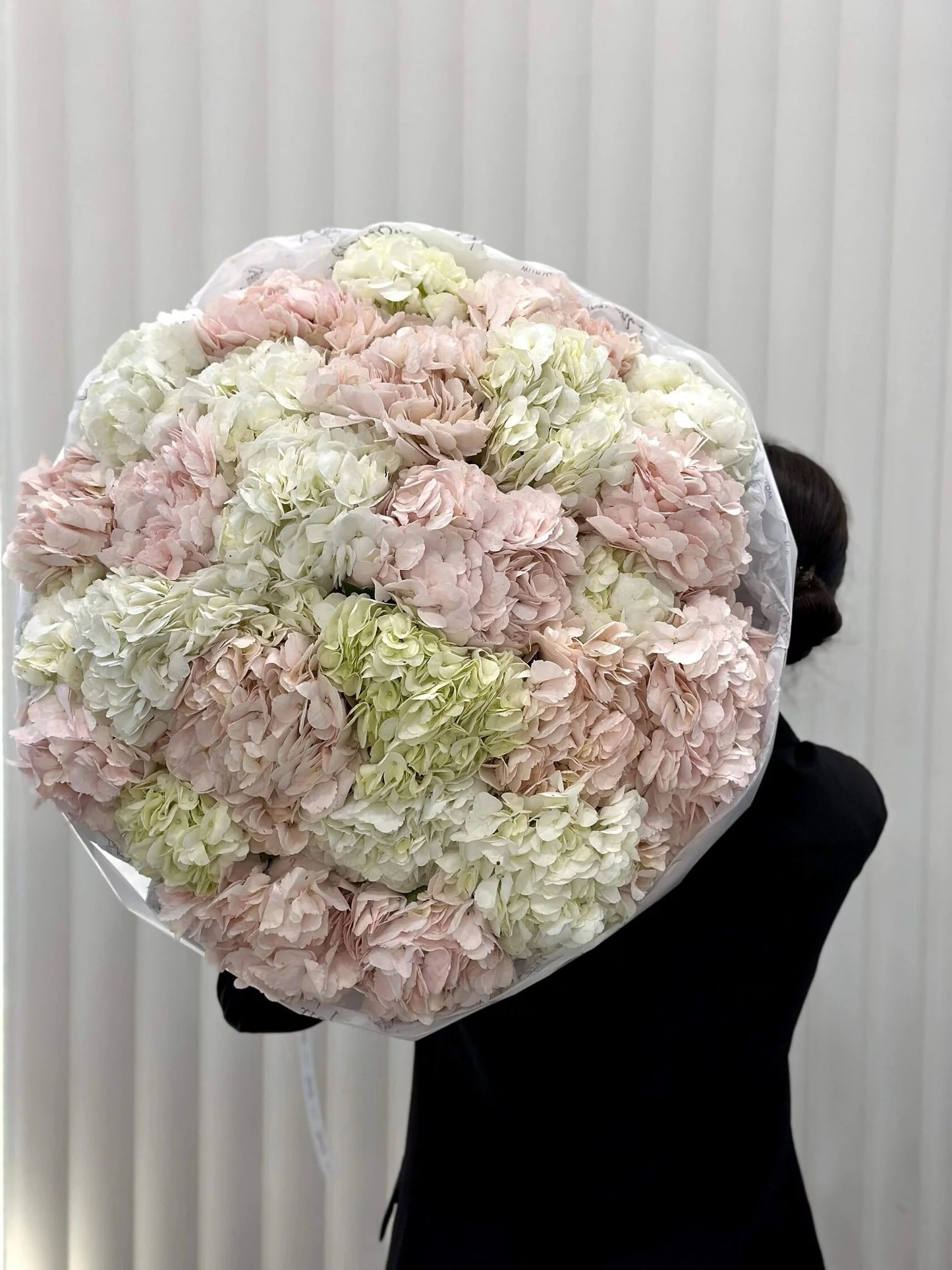 Premium Hydrangeas