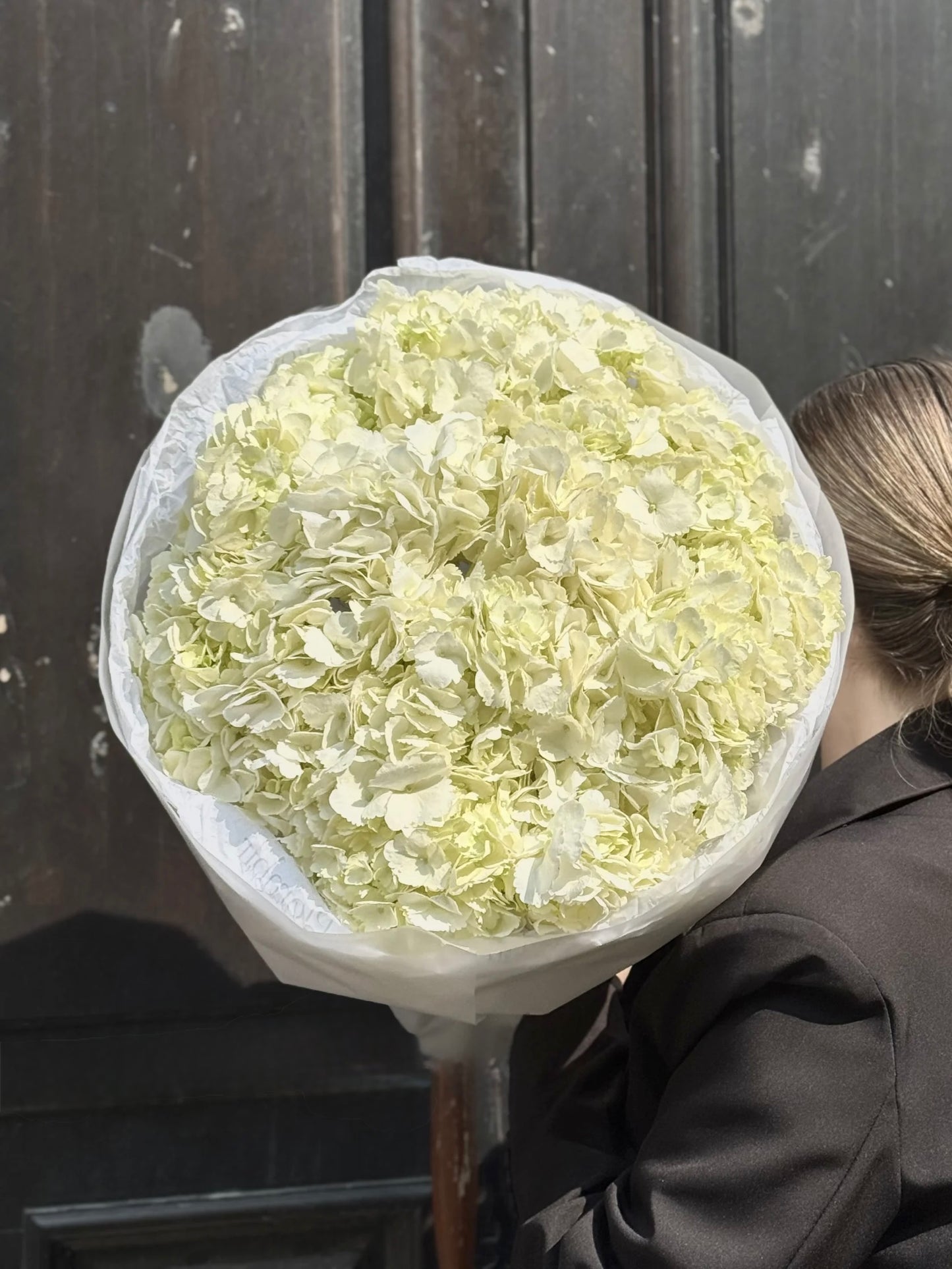 Premium Hydrangeas