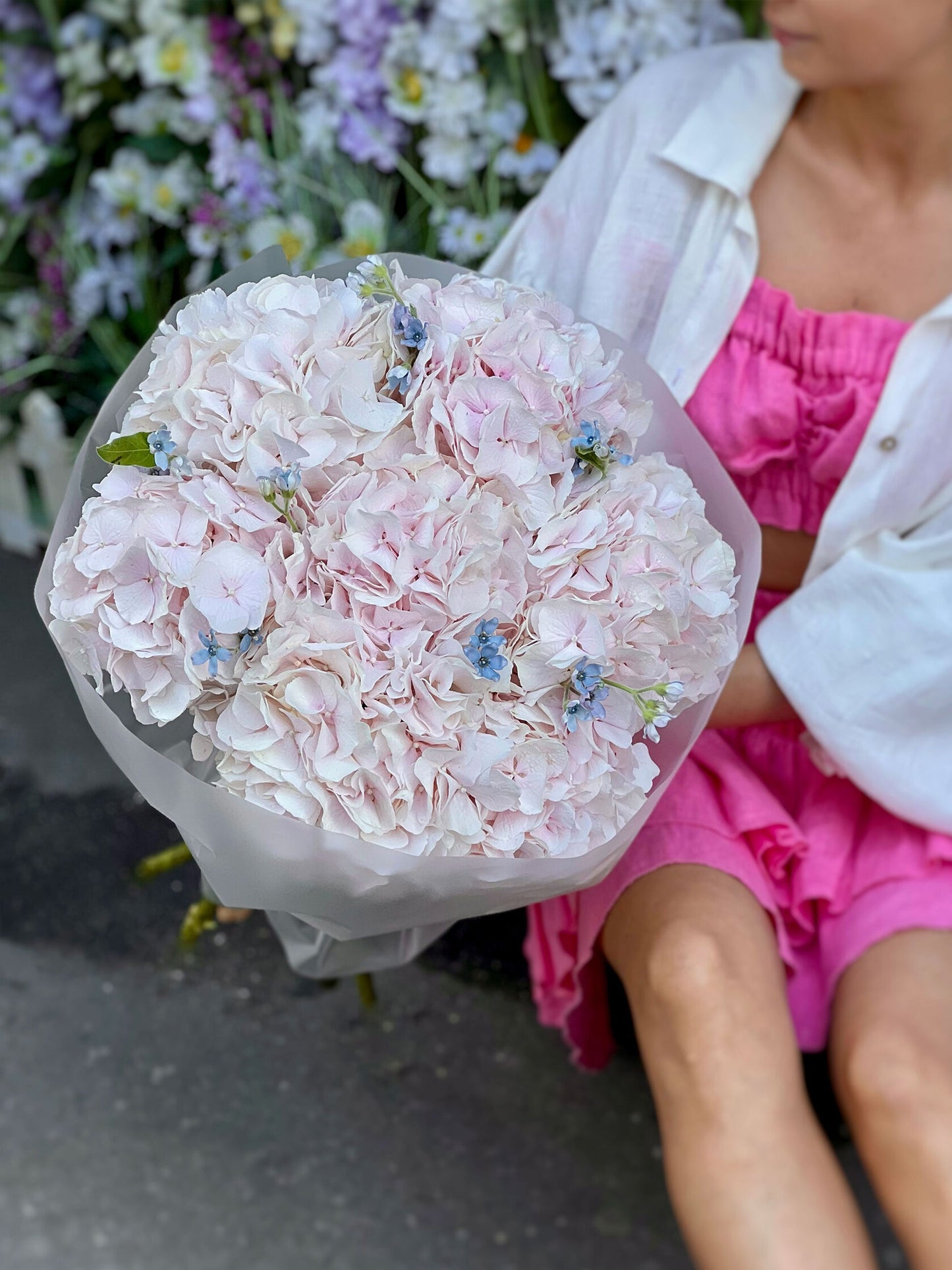 Light pink Hydrangeas & Tweedia