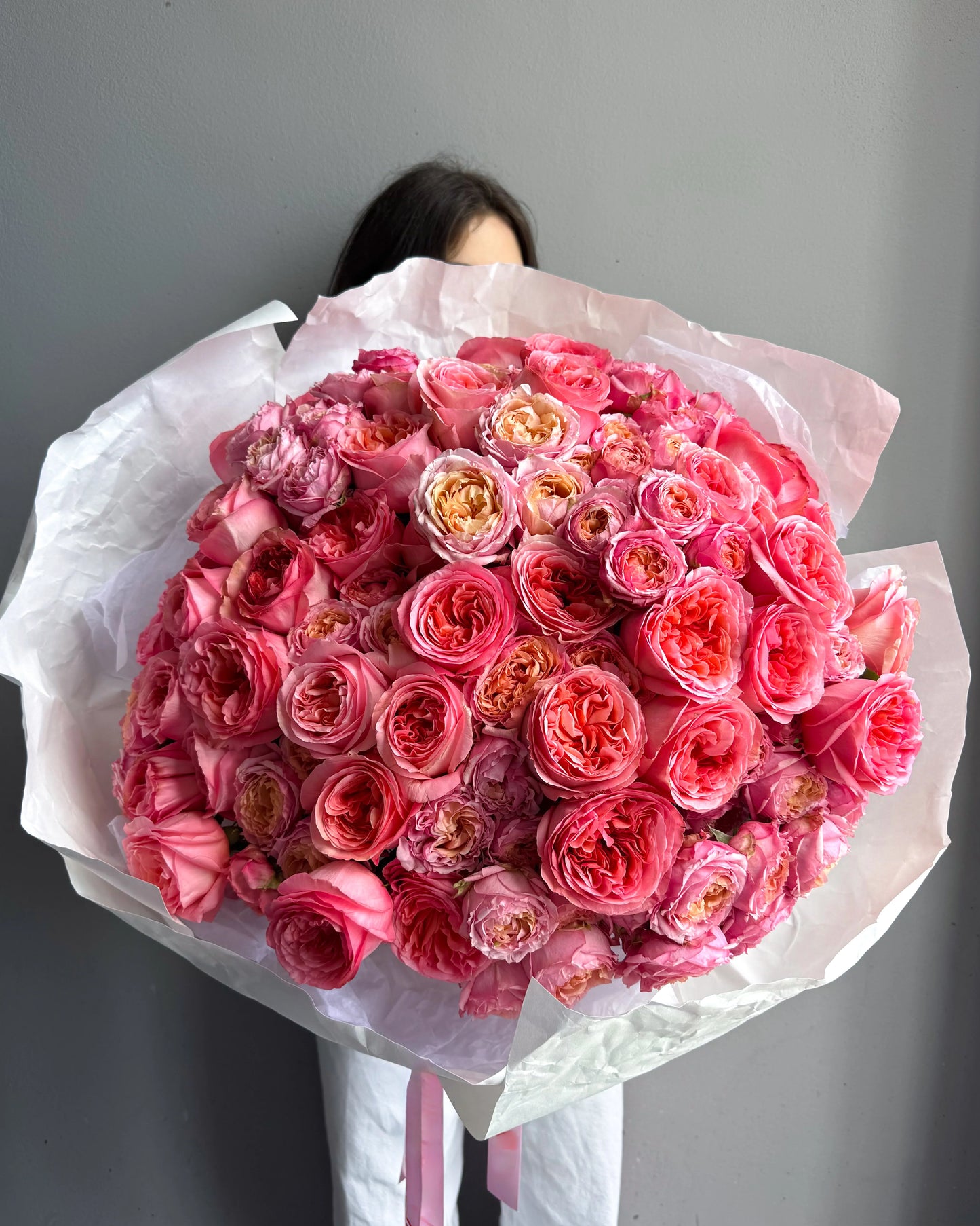 Pink Garden Rose