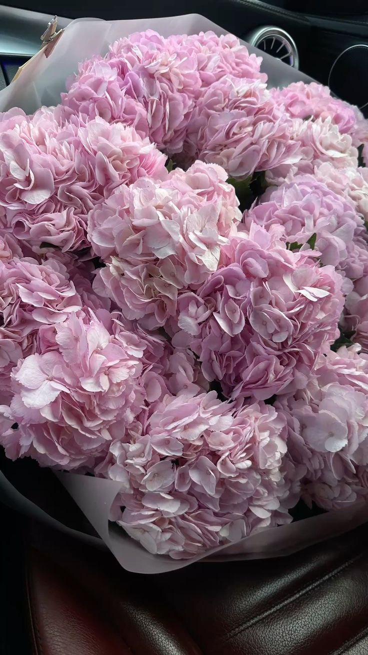 Premium Hydrangeas