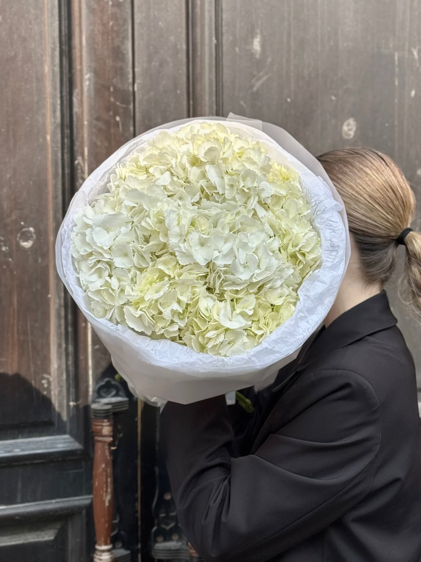 Premium Hydrangeas