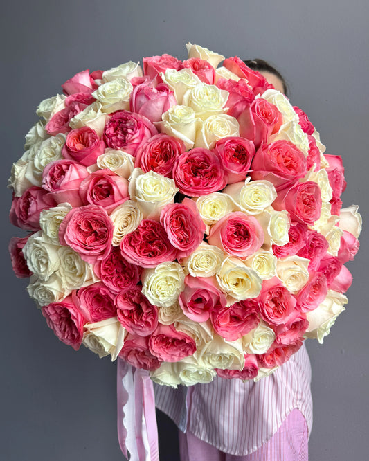 White and Pink Garden Roses